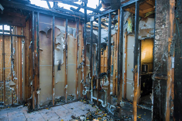 Professional Fire Damage Removal technician working in St. Martin, MS